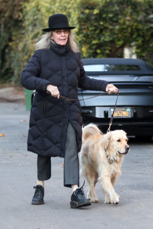 Diane Keaton je bila široko nasmejana, ko je v nedeljo zjutraj peljala svojega psa na sprehod v Los Angelesu. 75-letna …